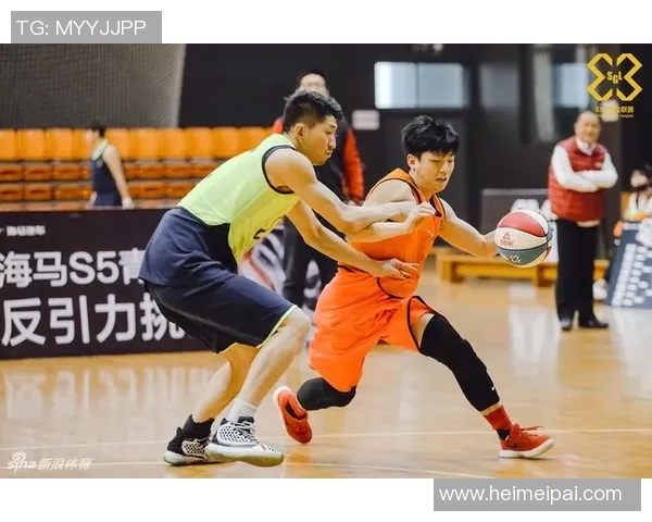 南京排球队展现卓越团队协作精神助力联赛精彩表现